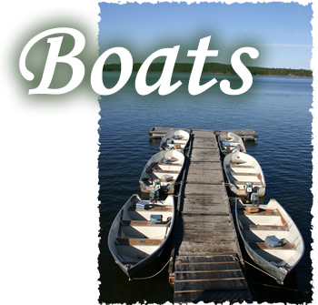 Rental Boats